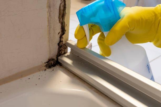 Best Crawl Space Mold Removal  in Pablo, MT